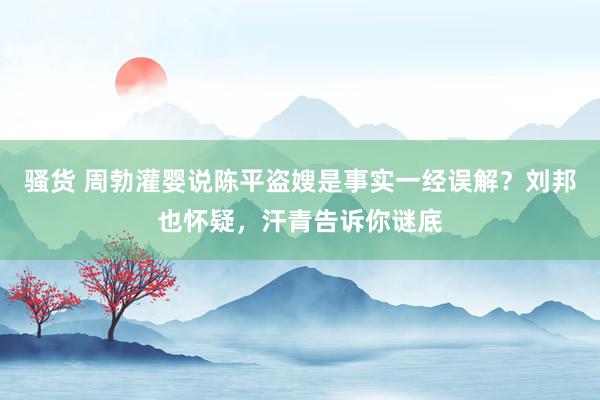 骚货 周勃灌婴说陈平盗嫂是事实一经误解?刘邦也怀疑,汗青告诉你谜底