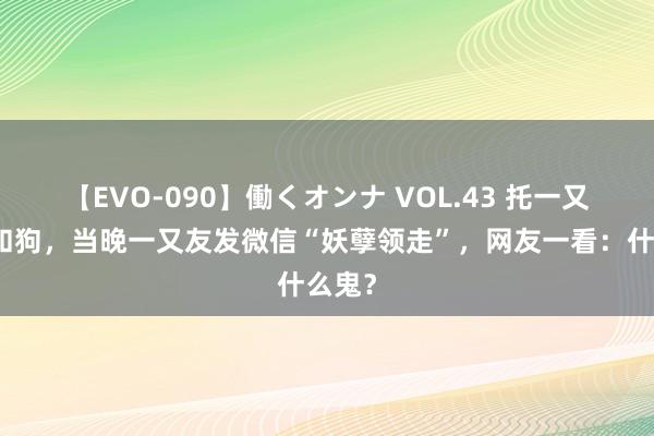 【EVO-090】働くオンナ VOL.43 托一又友祥和狗,当晚一又友发微信“妖孽领走”,网友一看:什么鬼?