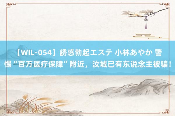 【WIL-054】誘惑勃起エステ 小林あやか 警惕“百万医疗保障”附近,汝城已有东说念主被骗!
