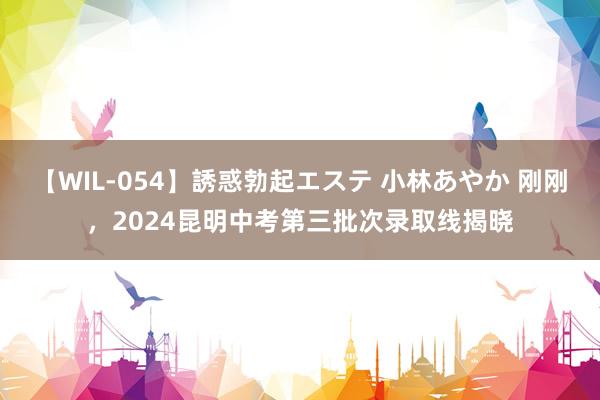 【WIL-054】誘惑勃起エステ 小林あやか 刚刚,2024昆明中考第三批次录取线揭晓