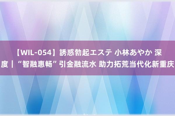 【WIL-054】誘惑勃起エステ 小林あやか 深度|“智融惠畅”引金融流水 助力拓荒当代化新重庆