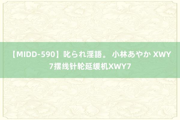 【MIDD-590】叱られ淫語。 小林あやか XWY7摆线针轮延缓机XWY7