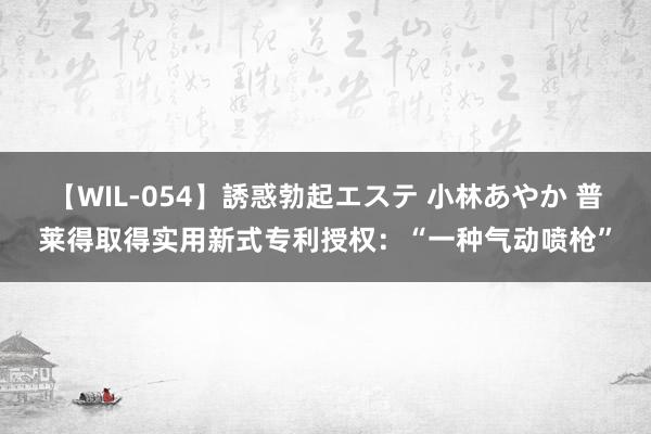 【WIL-054】誘惑勃起エステ 小林あやか 普莱得取得实用新式专利授权:“一种气动喷枪”