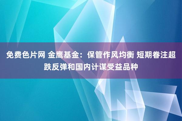 免费色片网 金鹰基金:保管作风均衡 短期眷注超跌反弹和国内计谋受益品种