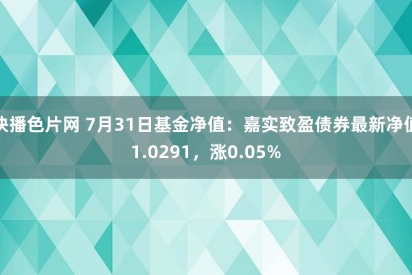 快播色片网 7月31日基金净值:嘉实致盈债券最新净值1.0291,涨0.05%