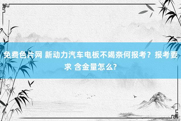 免费色片网 新动力汽车电板不竭奈何报考?报考要求 含金量怎么?