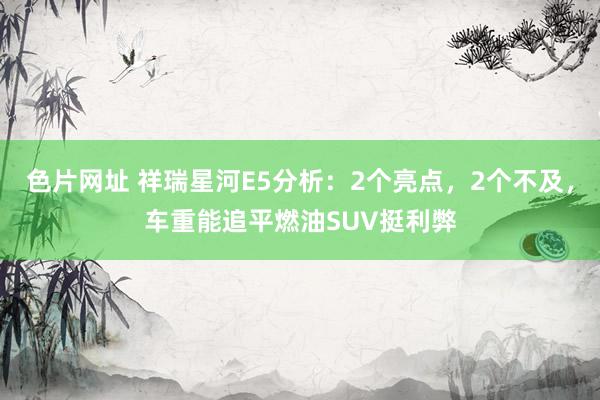 色片网址 祥瑞星河E5分析:2个亮点,2个不及,车重能追平燃油SUV挺利弊