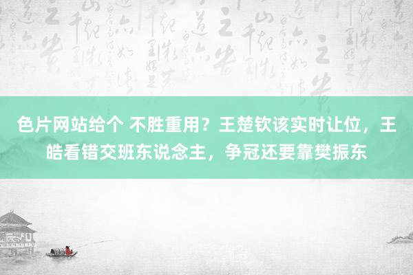 色片网站给个 不胜重用?王楚钦该实时让位,王皓看错交班东说念主,争冠还要靠樊振东