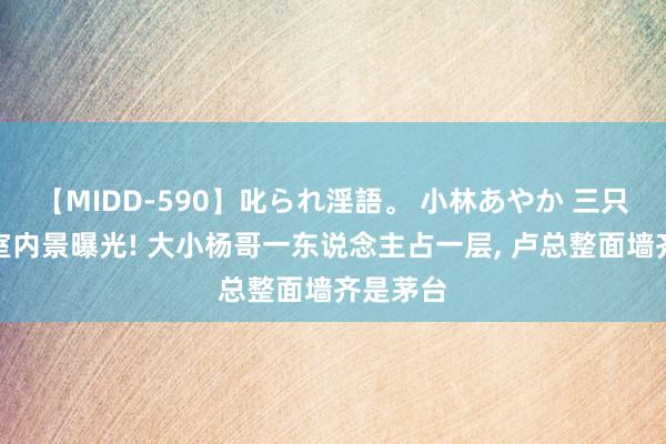 【MIDD-590】叱られ淫語。 小林あやか 三只羊办公室内景曝光! 大小杨哥一东说念主占一层, 卢总整面墙齐是茅台