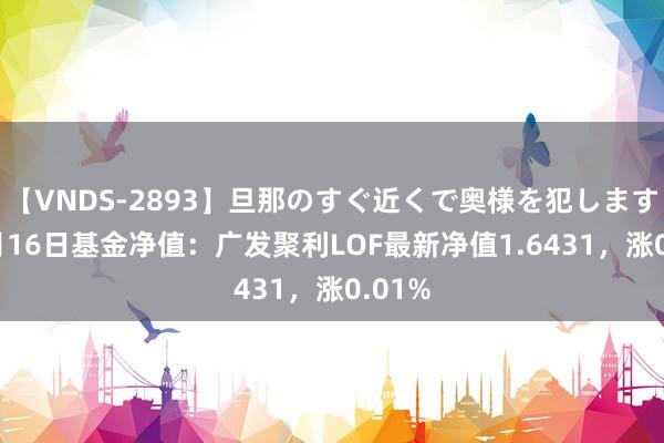 【VNDS-2893】旦那のすぐ近くで奥様を犯します。 8月16日基金净值:广发聚利LOF最新净值1.6431,涨0.01%