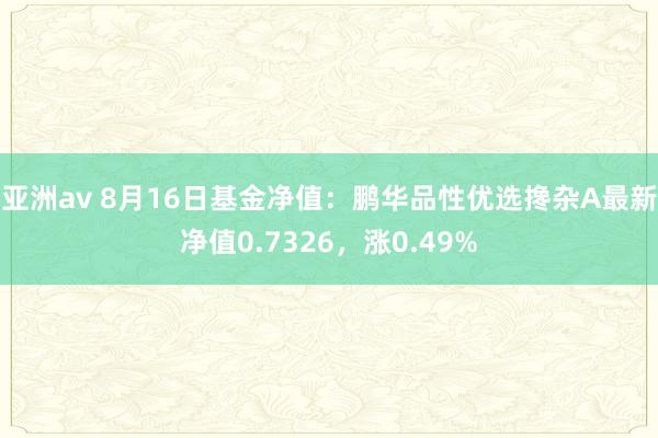 亚洲av 8月16日基金净值：鹏华品性优选搀杂A最新净值0.7326，涨0.49%