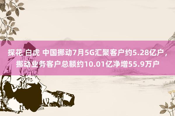 探花 白虎 中国挪动7月5G汇聚客户约5.28亿户,挪动业务客户总额约10.01亿净增55.9万户