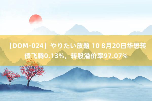 【DOM-024】やりたい放題 10 8月20日华懋转债飞腾0.13%,转股溢价率97.07%