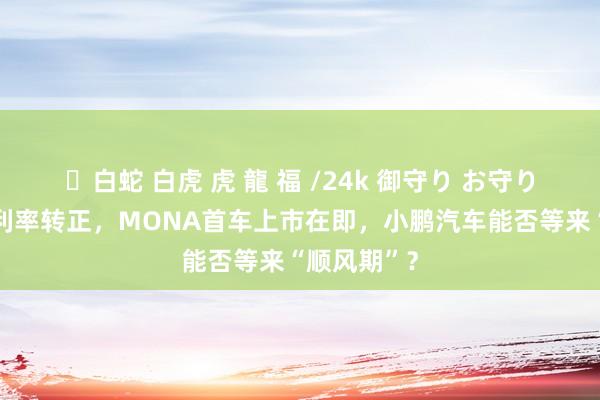✨白蛇 白虎 虎 龍 福 /24k 御守り お守り 上半年毛利率转正,MONA首车上市在即,小鹏汽车能否等来“顺风期”?