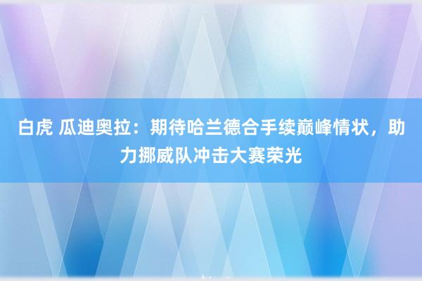 白虎 瓜迪奥拉:期待哈兰德合手续巅峰情状,助力挪威队冲击大赛荣光