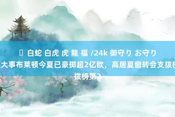 ✨白蛇 白虎 虎 龍 福 /24k 御守り お守り 要搞大事布莱顿今夏已豪掷超2亿欧,高居夏窗转会支拨榜第2