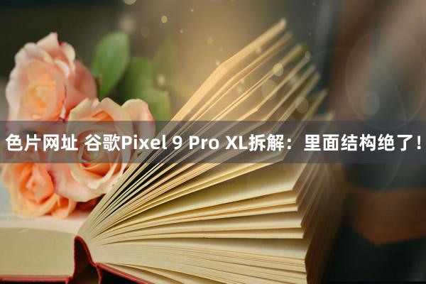 色片网址 谷歌Pixel 9 Pro XL拆解:里面结构绝了!