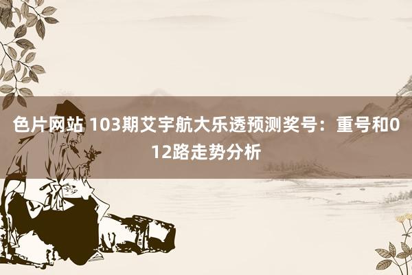 色片网站 103期艾宇航大乐透预测奖号:重号和012路走势分析