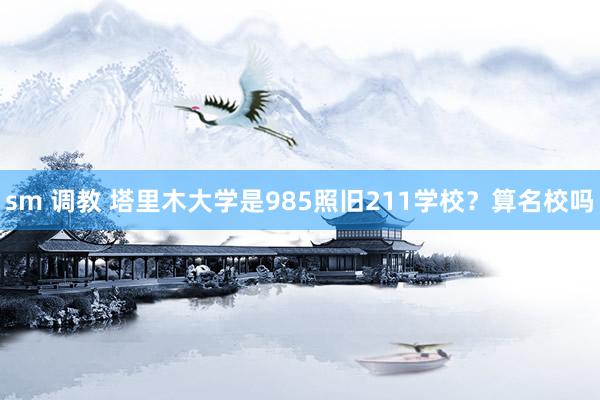 sm 调教 塔里木大学是985照旧211学校?算名校吗