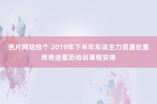 色片网站给个 2019年下半年东谈主力资源处置师奇迹履历培训课程安排