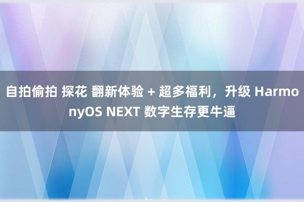 自拍偷拍 探花 翻新体验 + 超多福利,升级 HarmonyOS NEXT 数字生存更牛逼
