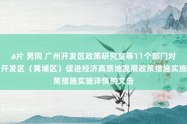 a片 男同 广州开发区政策研究室等11个部门对于印发广州开发区（黄埔区）促进经济高质地发展政策措施实施详情的文告