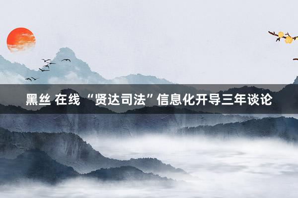 黑丝 在线 “贤达司法”信息化开导三年谈论