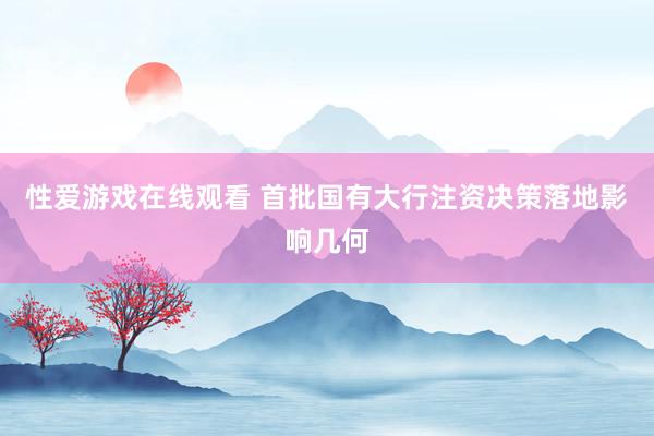 性爱游戏在线观看 首批国有大行注资决策落地影响几何