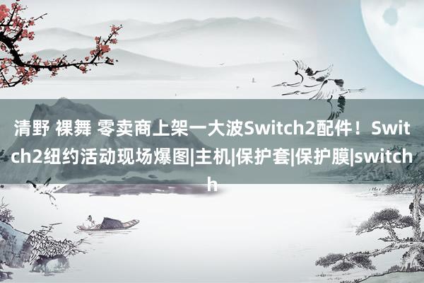 清野 裸舞 零卖商上架一大波Switch2配件!Switch2纽约活动现场爆图|主机|保护套|保护膜|switch