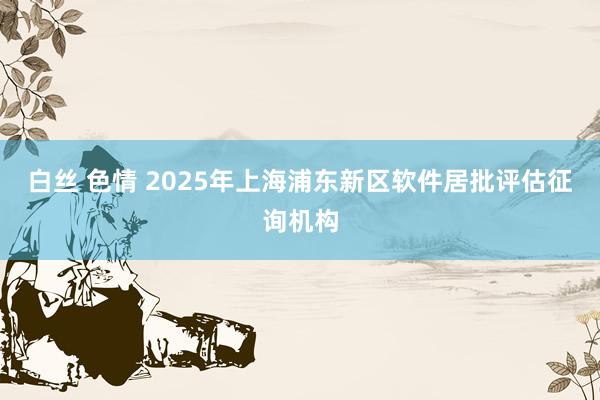 白丝 色情 2025年上海浦东新区软件居批评估征询机构