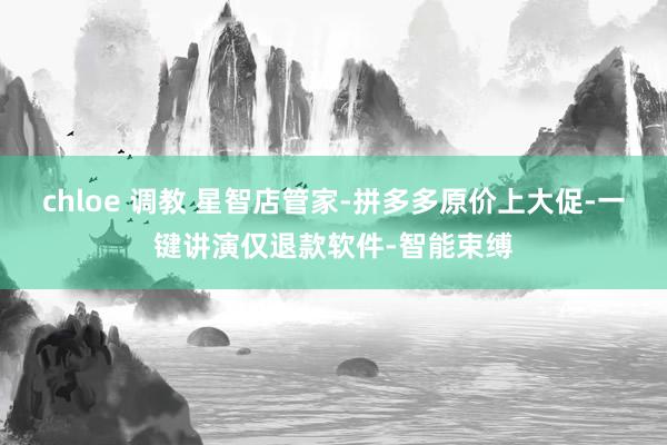 chloe 调教 星智店管家-拼多多原价上大促-一键讲演仅退款软件-智能束缚
