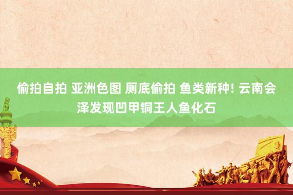 偷拍自拍 亚洲色图 厕底偷拍 鱼类新种! 云南会泽发现凹甲铜王人鱼化石
