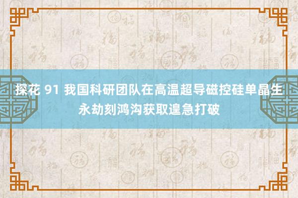 探花 91 我国科研团队在高温超导磁控硅单晶生永劫刻鸿沟获取遑急打破