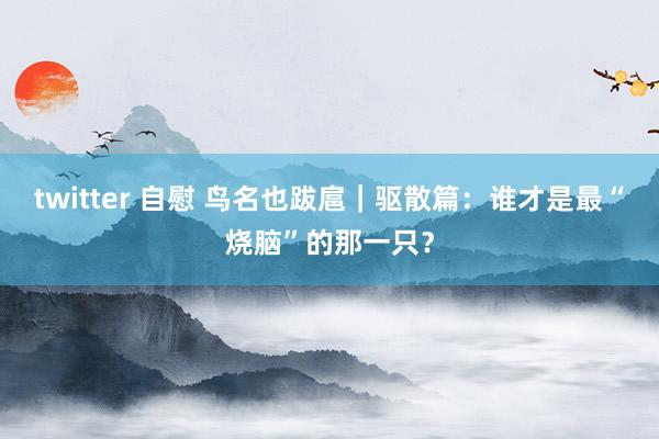twitter 自慰 鸟名也跋扈｜驱散篇：谁才是最“烧脑”的那一只？