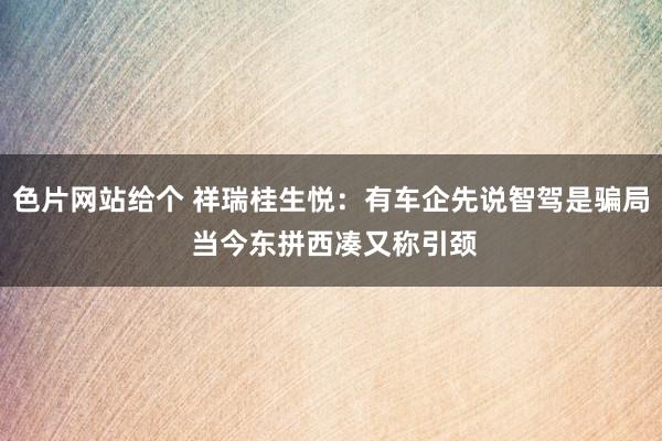 色片网站给个 祥瑞桂生悦：有车企先说智驾是骗局 当今东拼西凑又称引颈