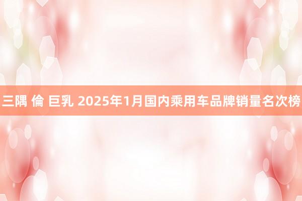 三隅 倫 巨乳 2025年1月国内乘用车品牌销量名次榜