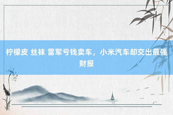 柠檬皮 丝袜 雷军亏钱卖车，小米汽车却交出最强财报